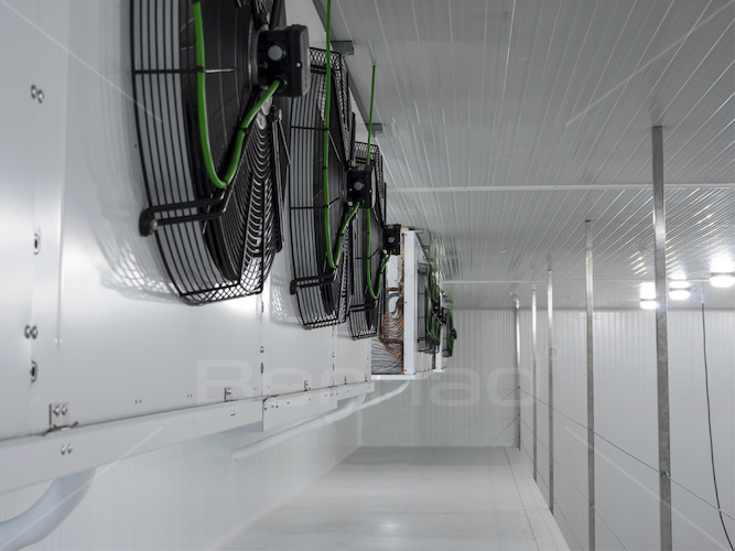 Desinfección cámaras frigoríficas industriales Ecoteck en Valencia