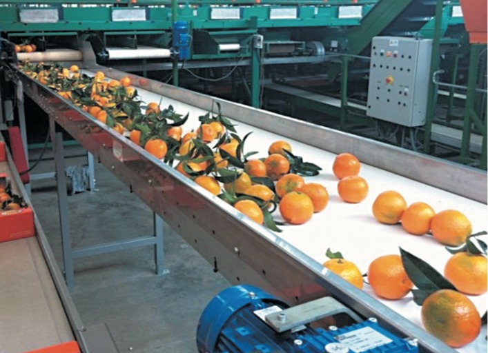 Empresa de desinfección cintas transportadoras en Valencia Ecoteck