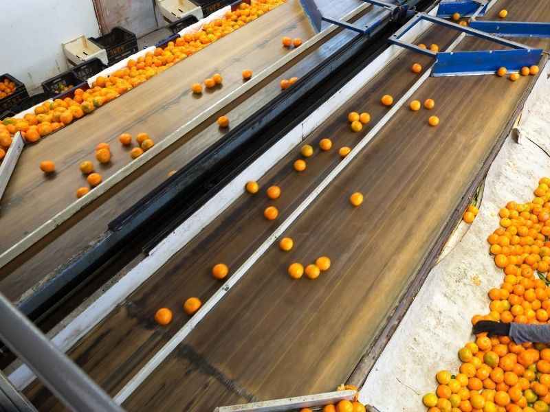 Empresa de desinfección cintas transportadoras en Valencia Ecoteck