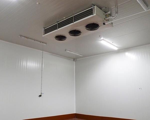 Ecoteck desinfección de techos y suelos de naves industriales en Valencia