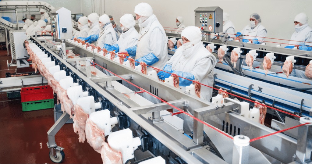 Empresa desinfección obradores y líneas de alimentación en Valencia Ecoteck